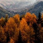 blog article 2